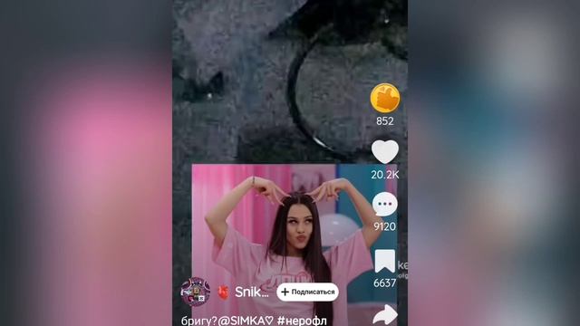 Лайк и Тикток