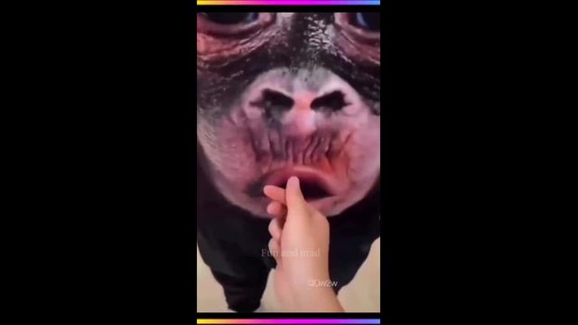 Смешные моменты - часть 2