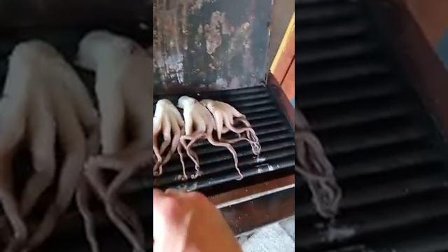 Дом На Колёсах В Болгарии. Готовлю осьминога