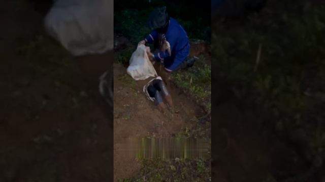 Закапывал живьём: под Приозерском Ленинградской области местный шаман за деньги отправлял...👇