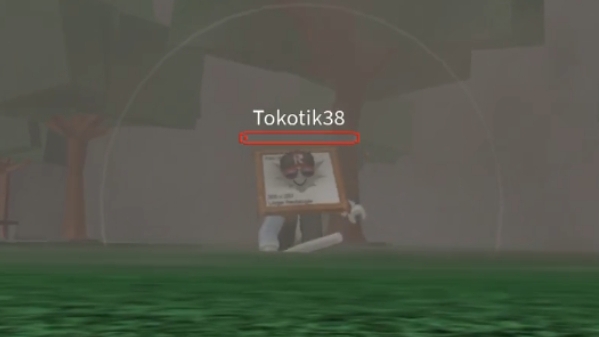 построй корабль и найди сокровище с toKotikom!