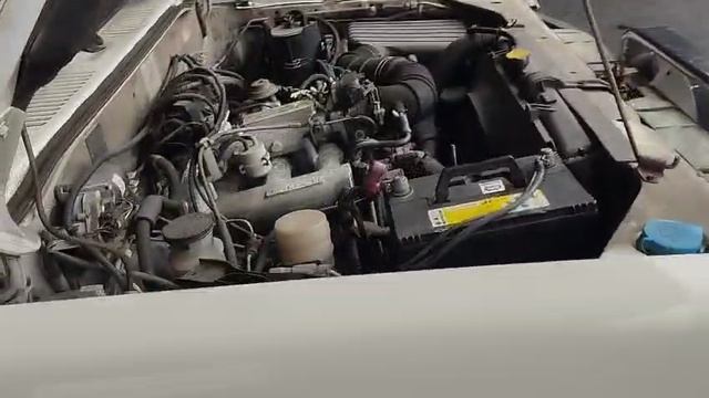 5001.mp4