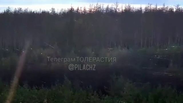 🔴Просто лес в зоне СВО, над которым летали десятки дронов на оптоволокне🔴