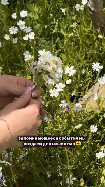 Свадьба #shorts