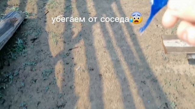 провожу время в деревне