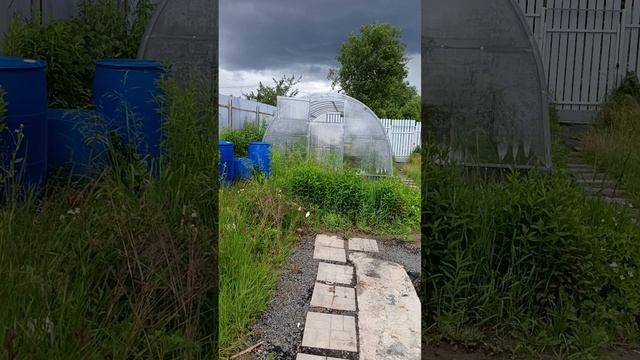 1000169042.mp4
