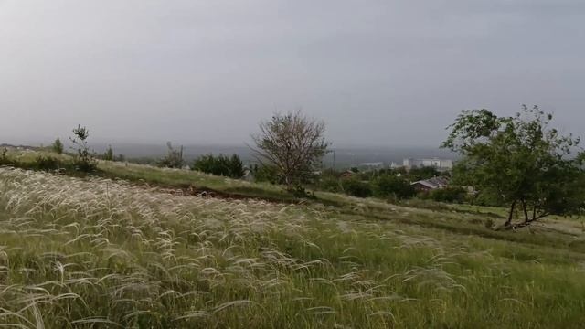вид на станицу с горы
