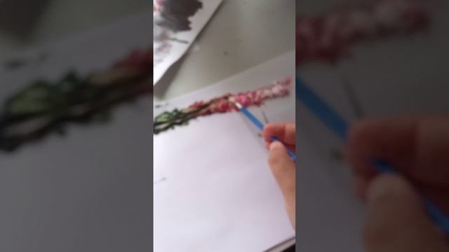 Разсешиваю краски