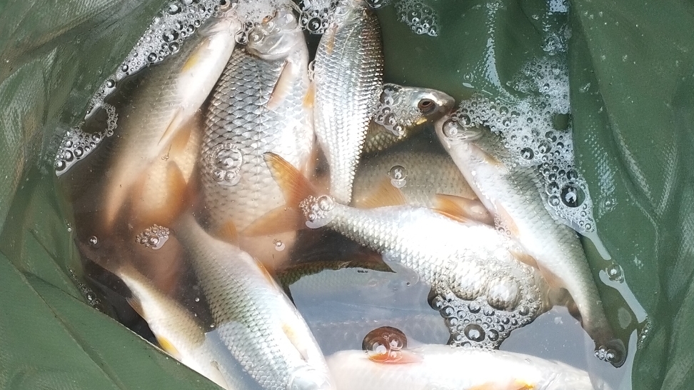 3 серия. Сутки на рыбалке.