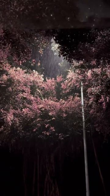 27-06-2025