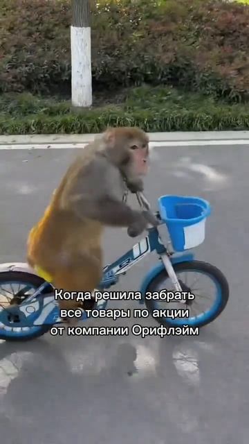 Поторопись