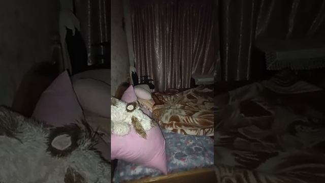 калининград