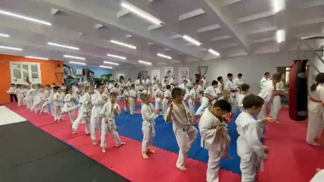 VID_20250625_222931_478