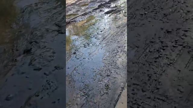 Так и хочется прогуляться во дворе 54 дома по улице Красных Зорь. Невероятно.