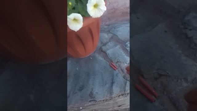 краш тест странной машины из пластилина