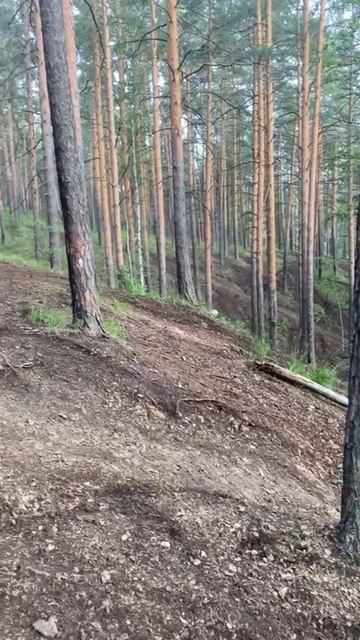 родьем часть 2 26.05