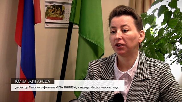 Экспортный потенциал Верхневолжья
