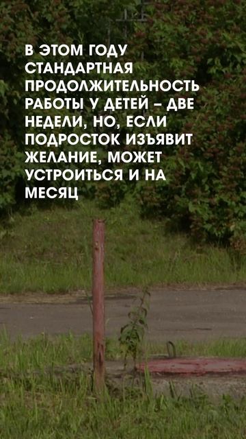 Работа для подростков