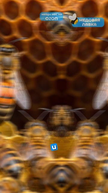 Интересные факты об улье!🍯🐝#пчелы #факты #здоровье #мёд #пчеловодство #топ #еда #рек #интересно