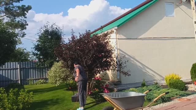 24.06.2025г.2 ЧАСТЬ// ХРОНИКА ДНЯ/ ОБЫЧНАЯ СЕЛЬСКАЯ ЖИЗНЬ🏡🐓