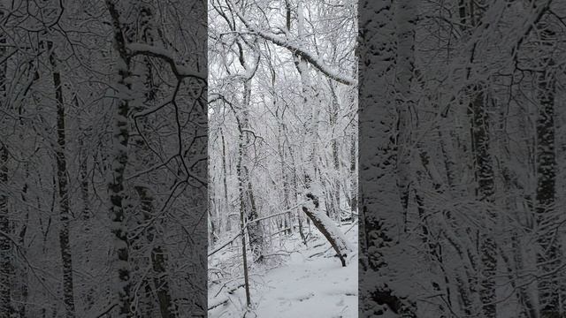 С верным другом на Сахарную головку.