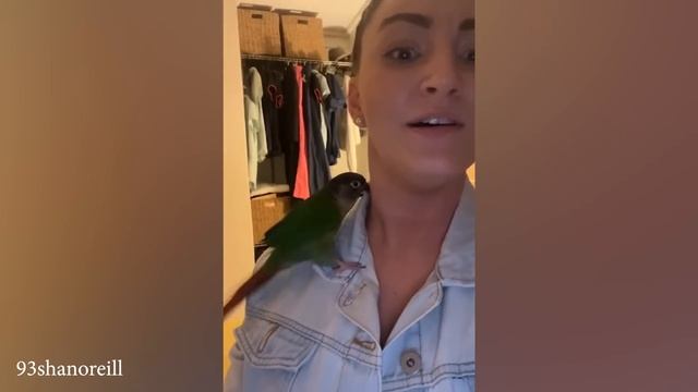 Самые смешные попугаи в мире Которые заставят Вас покатываться со смеху!