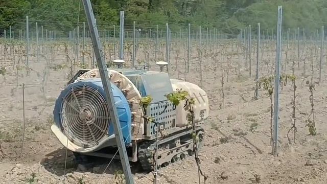 Робот - опрыскиватель в Абрау -Дюрсо