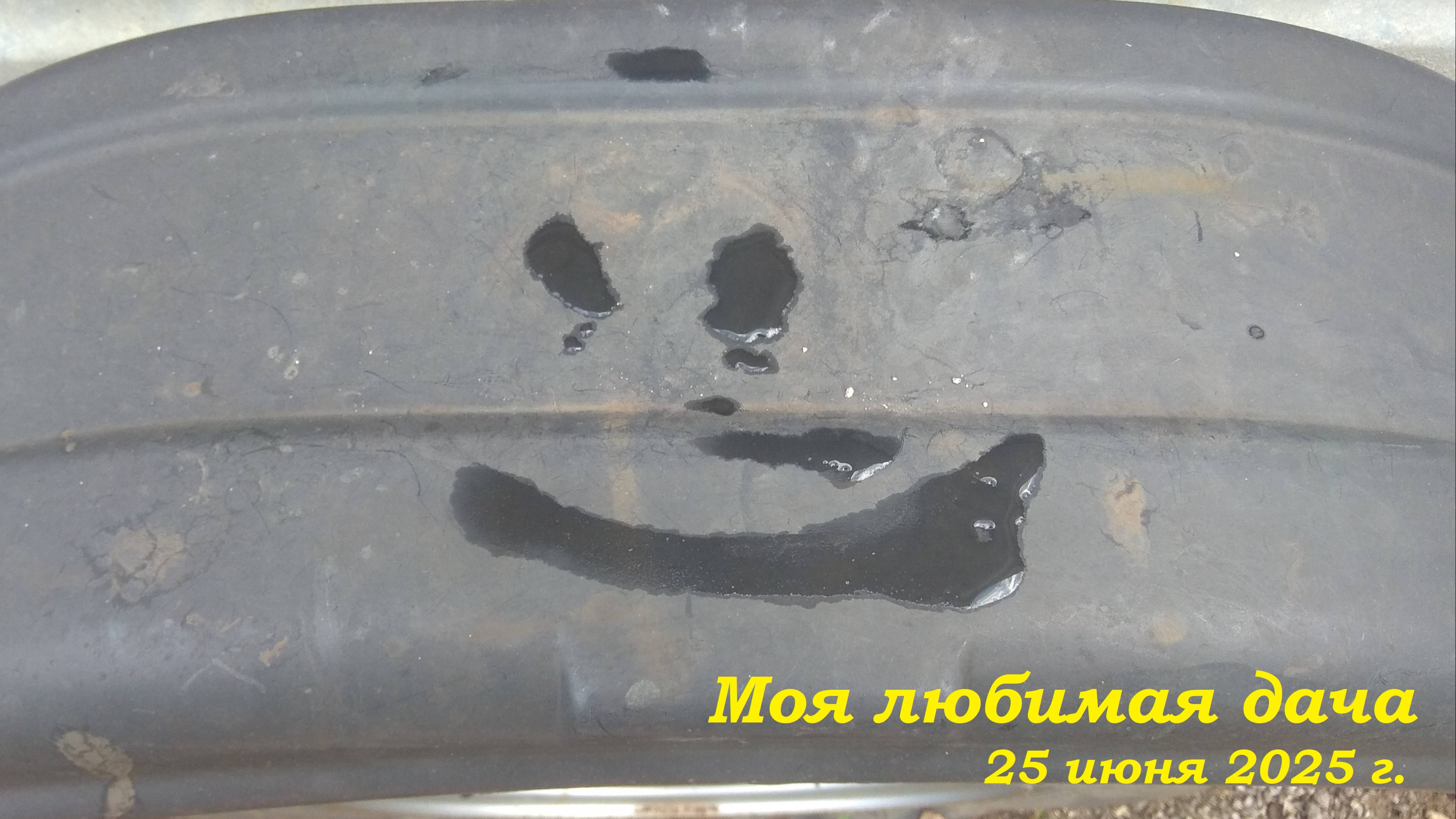 25.06.2025 _ Моя любимая дача