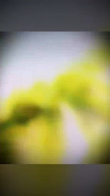 #мемы; martrending.ru#прикол; martrending.ru#смех; #отдых;ma