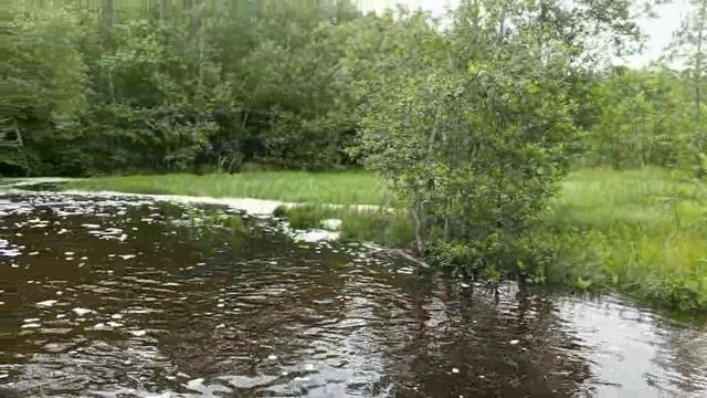 Спортивный лагерь в г. Луга Лен. обл. / Мы опять в дороге ...26.06.2025г.