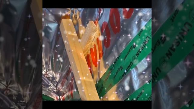 1000027425.mp4 (Собака наблюдает за устройством плоскости каркаса для и/бруса в доме А-фрейм)