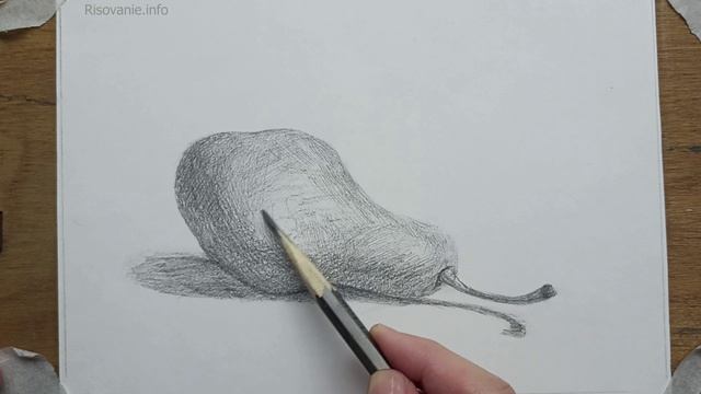 Груша. Рисуем простым карандашом