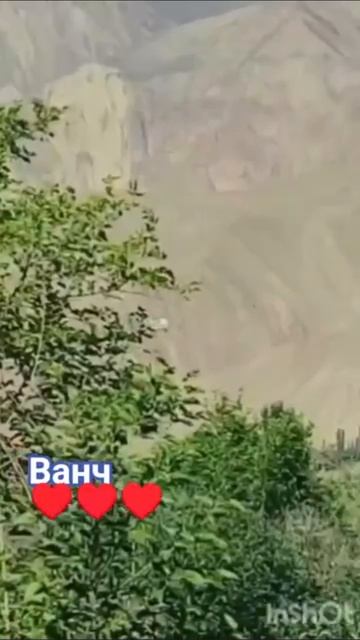 ванчи пурганч