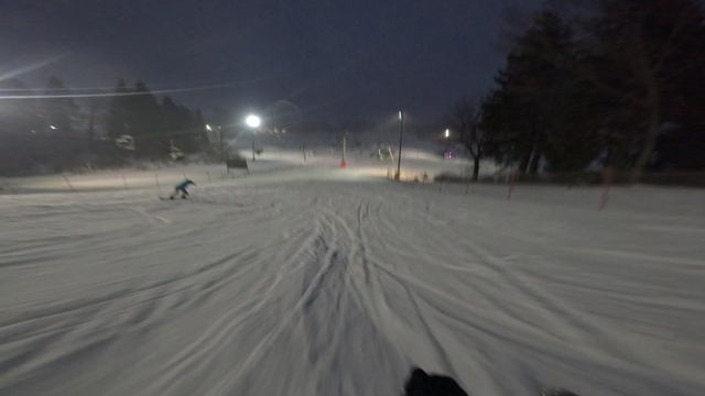 Горные лыжи в Душе!