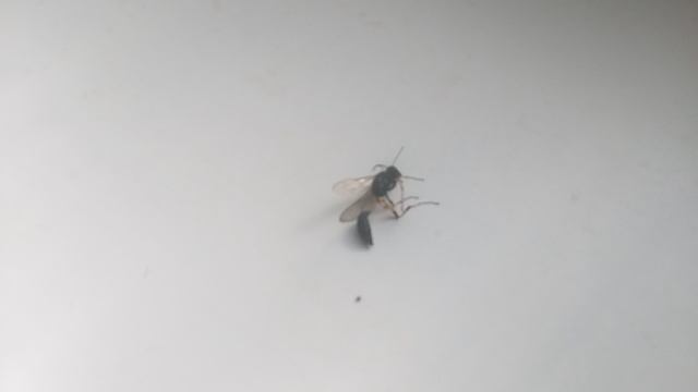 VID_20250626_174046.mp4