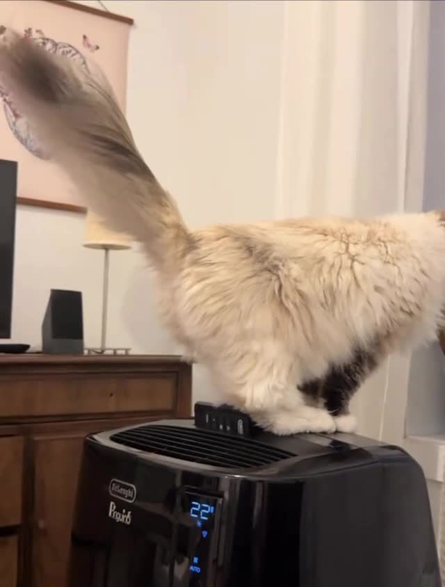 Подпишись 👉 https://vk.com/ykrasheniy_iz_kamny