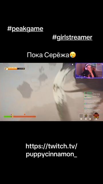 https://twitch.tv/puppycinnamon_