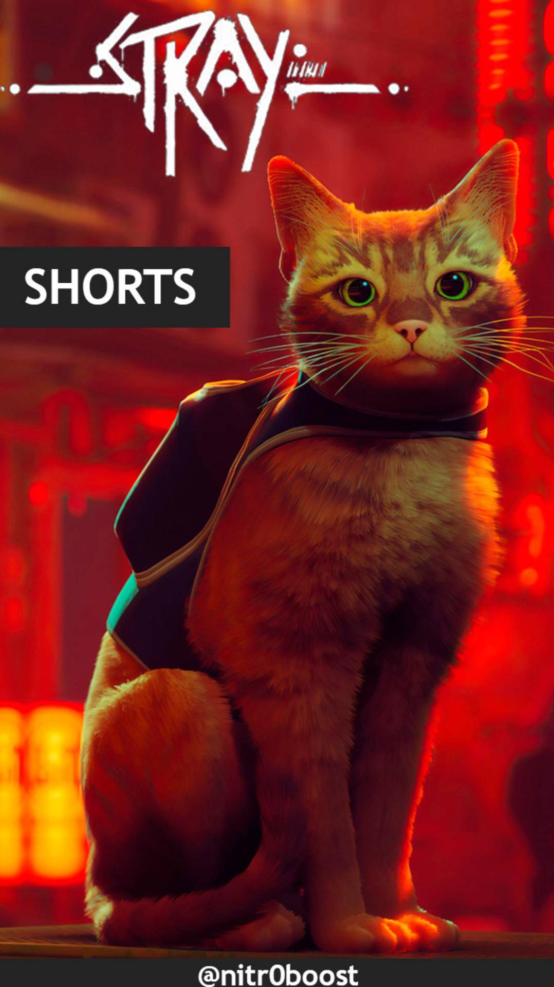 Stray - Shorts: НЕВЕРОЯТНЫЕ ПРИКЛЮЧЕНИЯ КОТА в городе роботов!