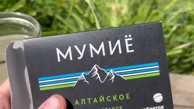 Как вдохнуть жизнь в хилые огурцы в июле: секреты, которые сработают мгновенно!