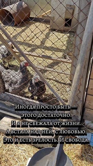 Будни женщины с хозяйством и характером