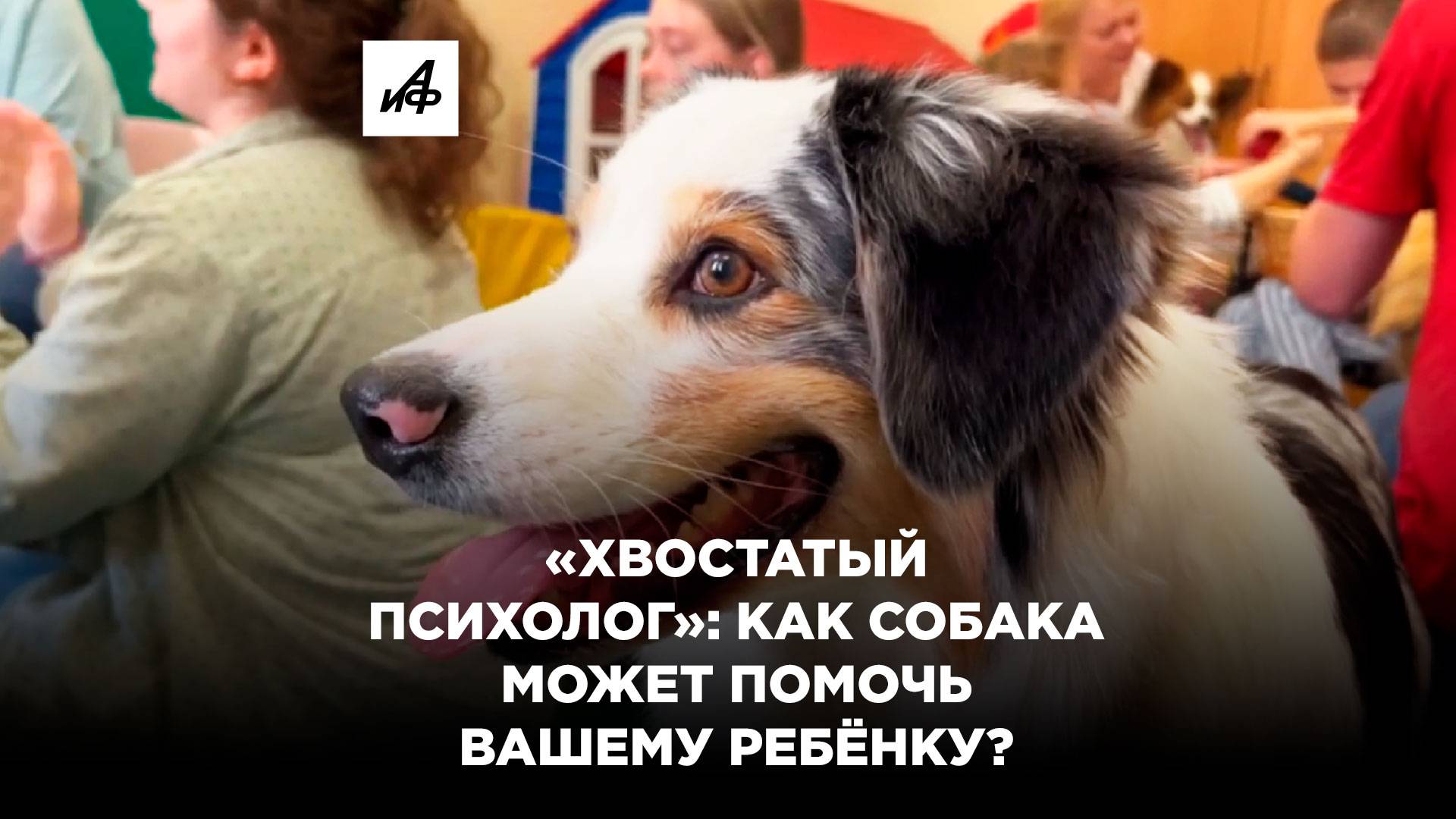 «Хвостатый психолог»: как собака может помочь вашему ребёнку?