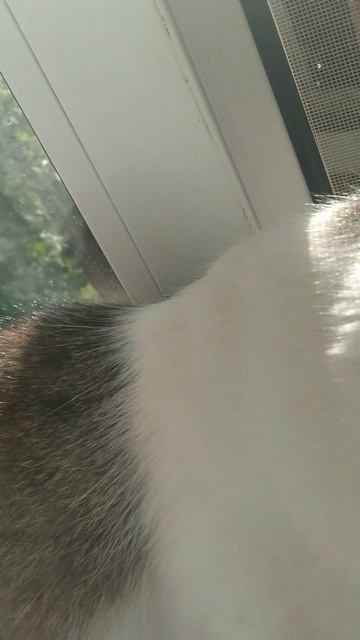 20250627_071234