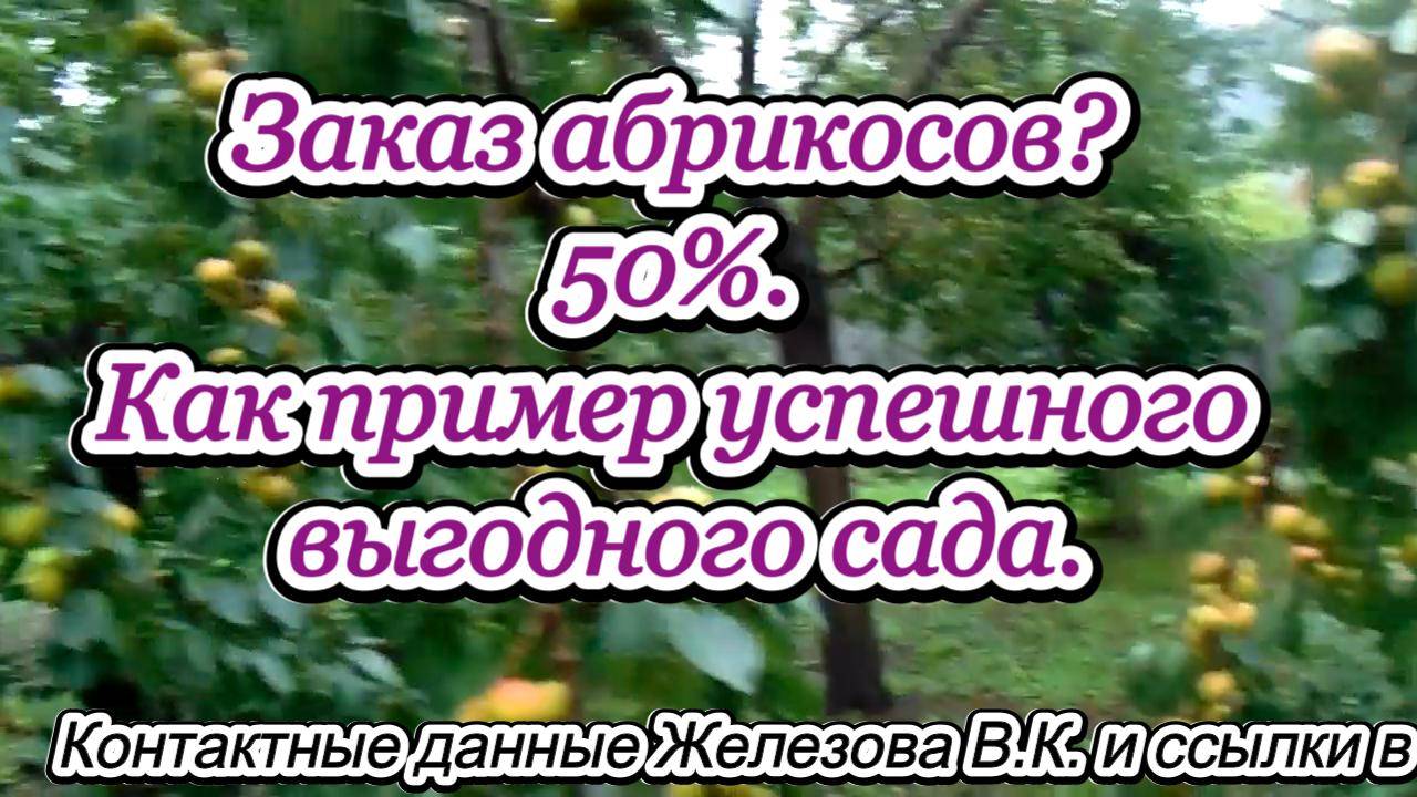 Заказ абрикосов? 50%. Как пример успешного выгодного сада.