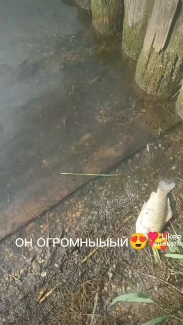 Мы с бро на прогулке часть 2