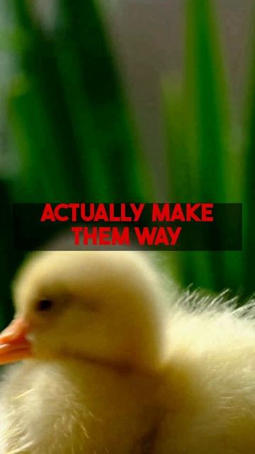 Got huge video files making work hard? Get an easy guide to video file compression! Smaller...
