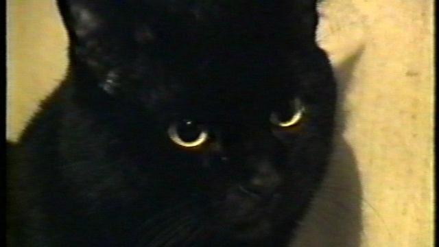 леля 1