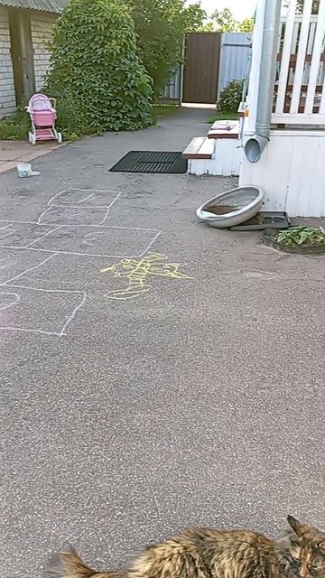 Мася