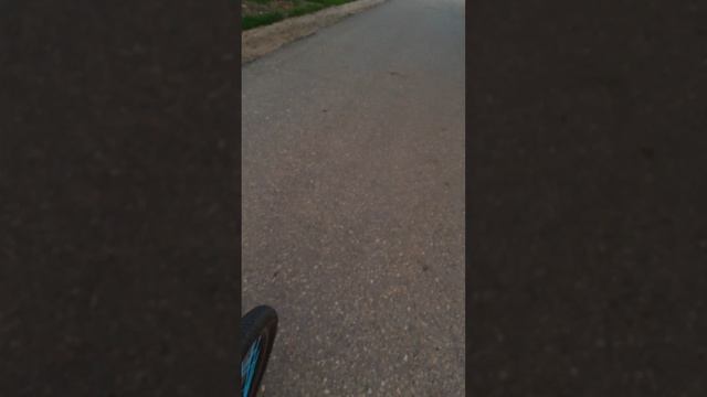 влог на велосипеде