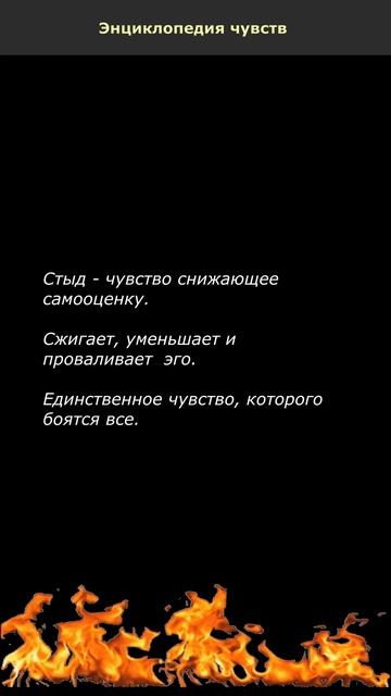 Стыд