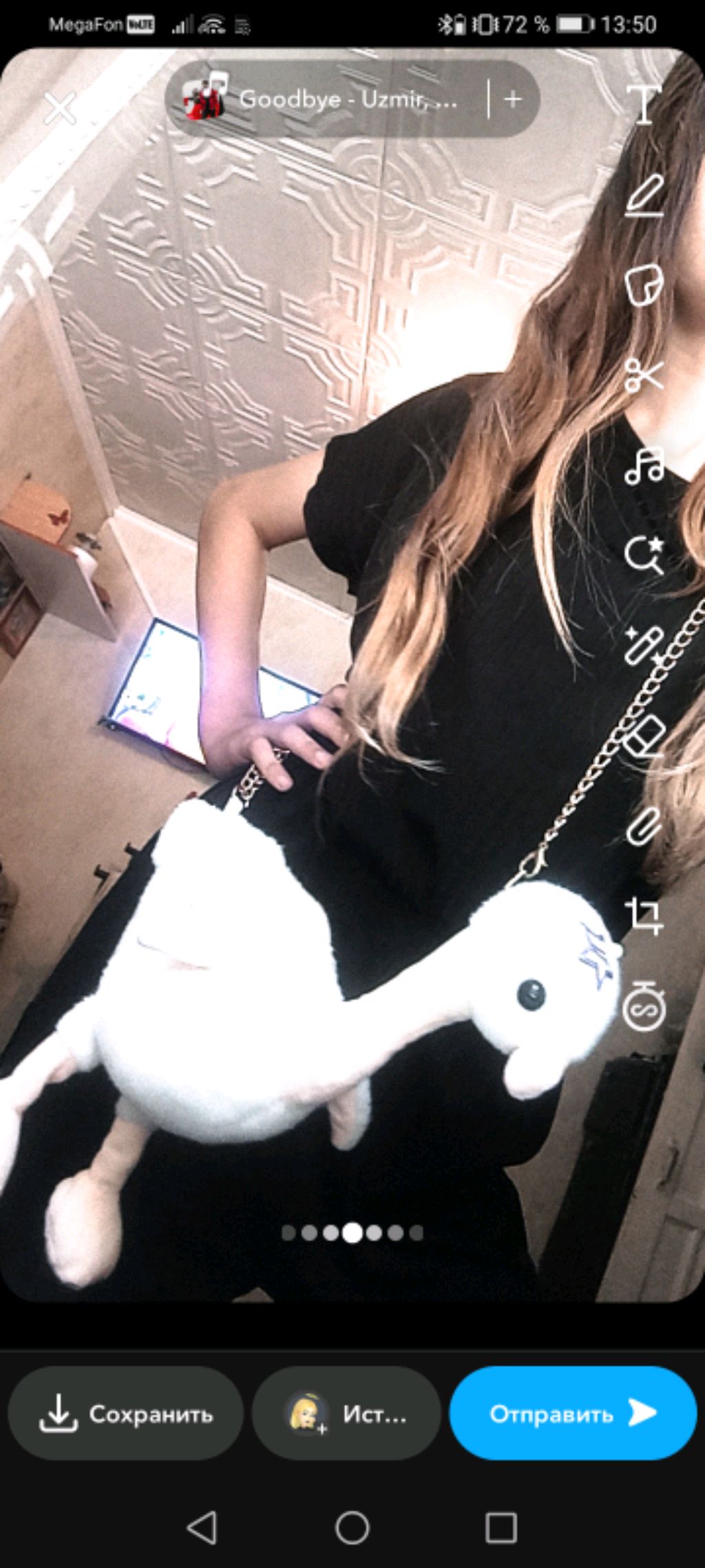 😼قط